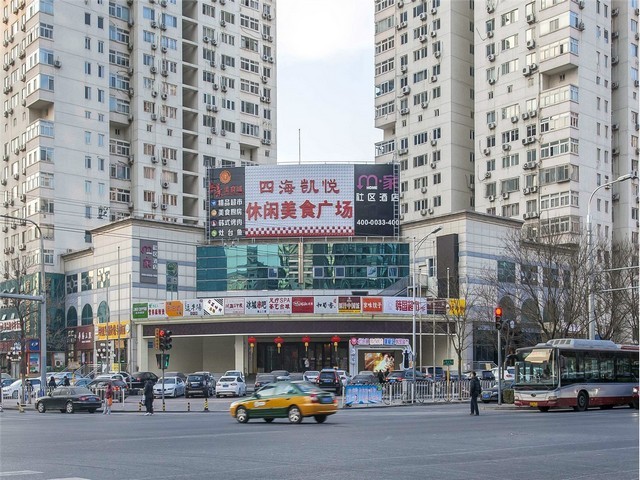 山东铠睿博台式桌面摇床订购